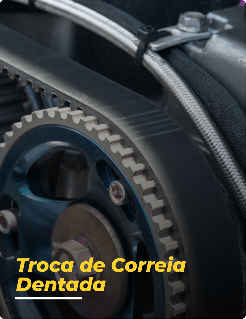 CORREIA DENTADA
