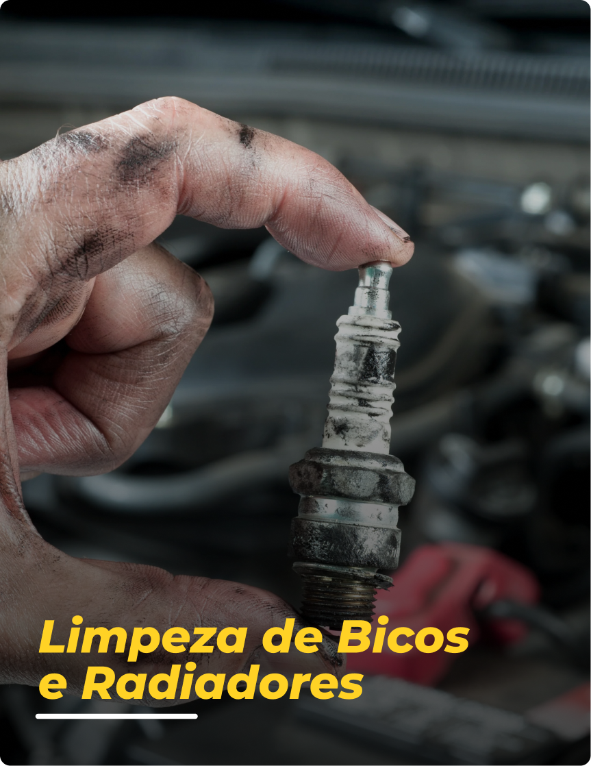 LIMPEZA BICOS
